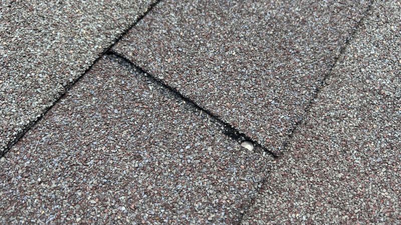 How Asphalt Shingle Roof Repair Prevents Costly Water Damage